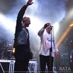 Igor Stojanovic - @igor.stojanovic.967 - Instagram