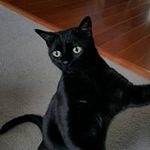 Ike Robinson - @ike.robinson.94 - Instagram