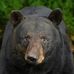Ike Walker - Facebook