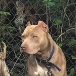 Ike Walker - @ikewalker71 - Instagram