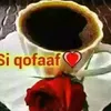 ikram ibrahim - @nabiyaat.a.b - TikTok