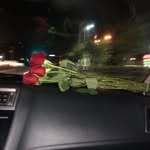 ikramomar - @ikramomar223 - Instagram
