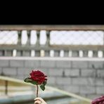 Ïkrām Salem - Facebook