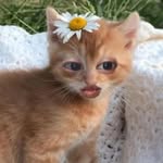 Ila Das - @iladas2006 - Instagram