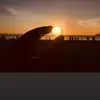 IlaJoe448 - @31878165617 - TikTok