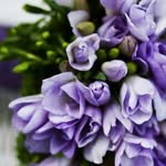 ilajoe4913 - @ilajoe49138 - Instagram