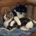 Ila Mcfadzean - Facebook