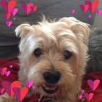 Ila Morris - Facebook