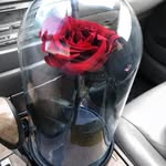 @ila_walters856 - Instagram