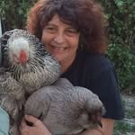 Ilana Rubin Haimovitz - @ilanarubinhaimovitz - Instagram