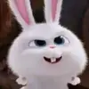 ilda_amaral - @ilda_amaral - TikTok