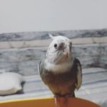 Ildefonso Pérez - @ildepersan_16 - Instagram