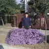Ildiko Katona - @ildiko.katona83 - TikTok