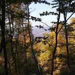 Ildiko Katona - @ildiko.katona.79 - Instagram