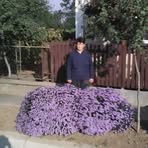 Ildiko Katona - Facebook