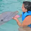 Ileana Murillo - @ileanamurillo_6 - TikTok