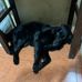 Ileana Rojas - Facebook