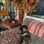 Ilene Allen - @ilene.allen.90 - Instagram