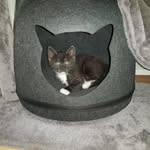 Eileen Block - @eileen20911 - Instagram