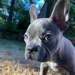 Ilene Block - @coleporterfrenchton - Instagram