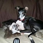 Eileen Greer - @greereileen - Instagram