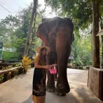 Eileen Higgins - @eileenhiggins100 - Instagram