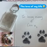 Eileen Higgins Berwick - @eileenberwick - Instagram