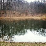 Eileen Kramer - @eileen.kramer - Instagram