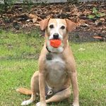 Eileen Kramer - @eileen.kramer.50596 - Instagram