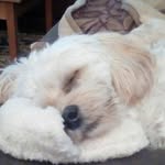 Eileen McGee - @finnieaugust - Instagram