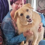 Eileen McLean - @eileenmclean2185 - Instagram