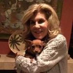 Ilene Meyers - @meyersilene - Instagram
