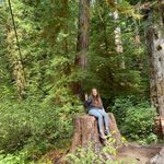 Allison Ilene Webb - @allison.i.webb - Instagram