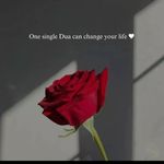 Ilhan Omar - @ina_shirwac_falko - Instagram