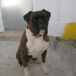 Ilidiorafael Mestre - @ilidiorafaelmestre - Instagram