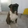 ilidiorafaelmestr - @ilidiorafaelmestr - TikTok