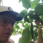 Rafael Ilidio - @rafaelilidio - Instagram