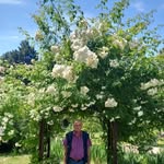 Ilie Grigore - @grigore1284 - Instagram