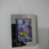 Ilie Vasile - @ilie.vasile432 - TikTok