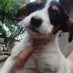 Ilie Vasile - Facebook
