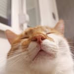 Ilija Jankovic - @just.a.loud.npc - Instagram