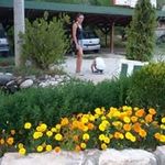ilija stanic - @stanicilija88 - Instagram