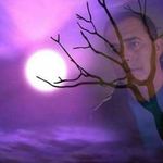 Ilija Stanic - @floridian.angel.7 - Instagram
