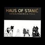 ilija Stanic - @haus_of_stanic - Instagram