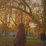 Ilinca Lupașcu - @ili_nca1 - Instagram