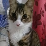 Ilir Demiri - @ilir1084 - Instagram