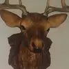 ilirkasa26 - @ilirkasa26 - TikTok