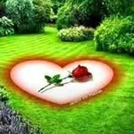 Ilir Lika - @ilir.lika.10690 - Instagram