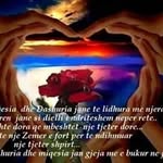 ilirrusi@hotmail.com - @ilirrusi7211 - Instagram