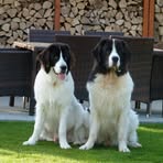 Ilka Jung - Facebook